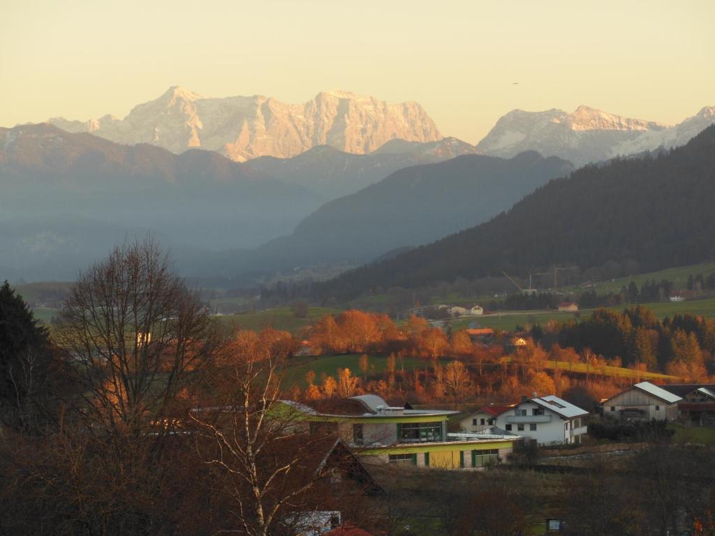 Parkhotel Tannenhof Oy-Mittelberg Esterno foto